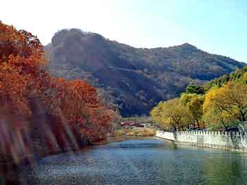 澳门天天免费精准大全，黑龙江旅游职业技术学院